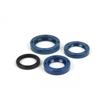 Engine Oil Seal Set Cif  Vehicles Without Variomatic