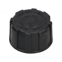 Cover For Coolant Reservoir Piaggio