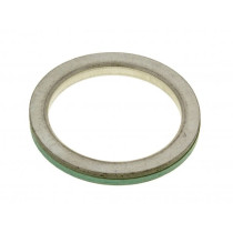Exhaust Gasket Naraku