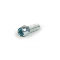 Adjuster Screw Piaggio