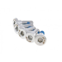 Pan Head Screw 101 Octane  Set Of 5 Pcs