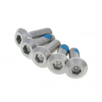 Pan Head Screw 101 Octane  Set Of 5 Pcs