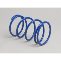 Contrast Spring Malossi Mhr Piaggio 50cc