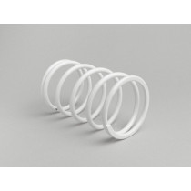 Contrast Spring Malossi Piaggio 400500cc Master