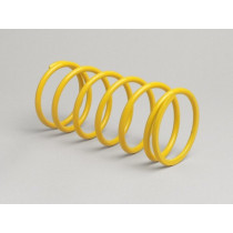 Contrast Spring Malossi Rotax 125150cc