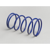 Contrast Spring Polini Evolution  Blue