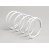 Contrast Spring Polini Evolution Piaggio 50cc  White