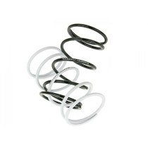 Torque Springs Naraku Sport V.2  Set Of 2 Pcs