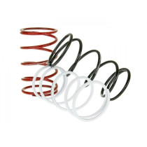 Torque Springs Naraku