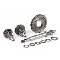 Gearbox Pinasco  Variomatik