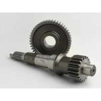 Primary Gears Malossi