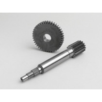 Primary Gears Malossi