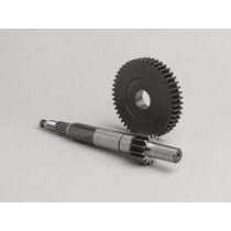 Primary Gears Malossi