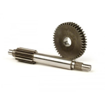 Primary Gears Malossi