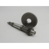 Primary Gears Malossi