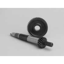 Primary Gears Polini