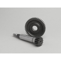 Primary Gears Polini