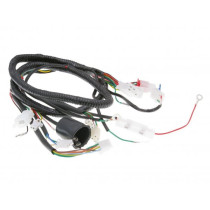 Main Wire / General Wire Harness 101 Octane For Jinlun Fighter 50