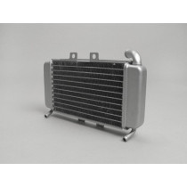 Radiator Piaggio