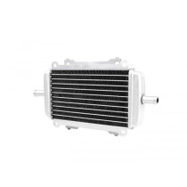 Radiator Piaggio