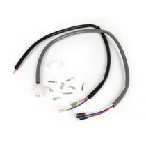 Wire Group BGM Pro Vespatronic For BGM Pro Conversion Wiring Loom