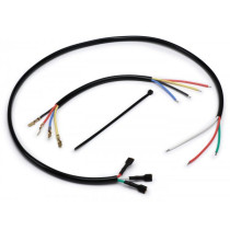 Wiring Stator Plate Vesparatur Vespa Et3 6v  With Flat Plugs