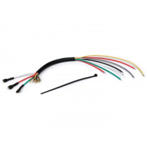 Wiring Stator Plate Vesparatur  With Grey Cable