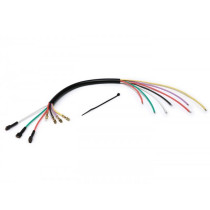 Wiring Stator Plate Vesparatur