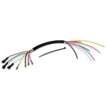 Wiring Stator Plate Vesparatur  With Purple Cable