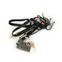 Wiring Loom Grabor