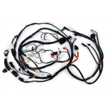 Wiring Loom Piaggio