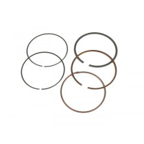 Piston Rings Set Polini Rotax 177cc  67.0mm