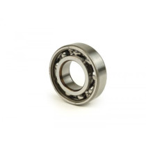 Bearing -6205