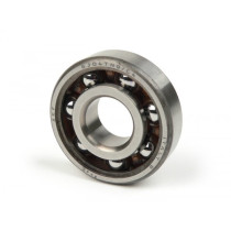 Bearing -6304tn9c4