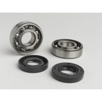 Bearing And Oil Seal Set For Crankshaft Oem Quality Derbi 50cc