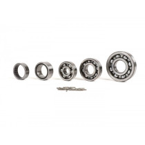 Ball Bearing Set For Engine Scooter Center  -264564)