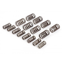 Spring Set For Clutch Fabbri Racing Top R (xxxl)  16 Pcs