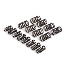 Spring Set For Clutch Fabbri Racing (xxl)  16 Pcs