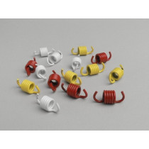 Clutch Spring Set Malossi