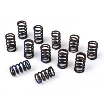 Clutch Spring Set For Powermaster Clutch Medium Casa Performance Lambretta (series 13) 12 Pcs