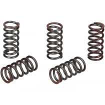 Clutch Spring Set (reinforced) BGM Pro  5 Pcs