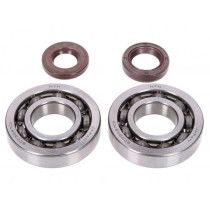 Crankshaft Bearings Naraku Fkm Heavy Duty C3 Left And Right Incl. Oil Seals For Peugeot 100cc 2stroke