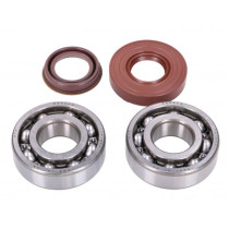 Crankshaft Bearing Set Naraku