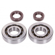 Crankshaft Bearing Set Naraku Fkm Heavy Duty For Peugeot Vertical Euro1