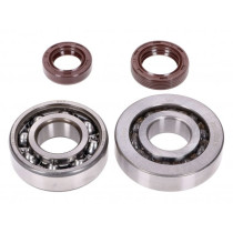Crankshaft Bearing Set Naraku