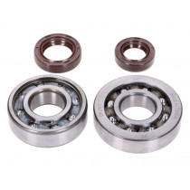 Crankshaft Bearing Set Naraku