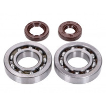 Crankshaft Bearing Set Naraku