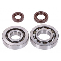 Crankshaft Bearing Set Naraku