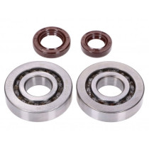 Crankshaft Bearing Set Naraku