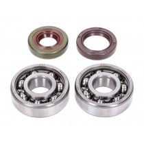 Crankshaft Bearing Set Naraku